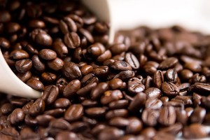 3373940636_25b8bd28a3